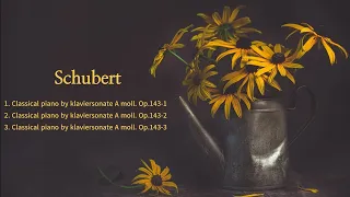 Schubert  klaviersonate A. moll  Op. 143