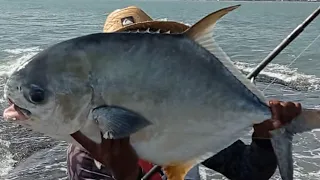 SAMANDUARA GOSTA DE OURIÇO COM ESSA ISCA EU NÃO DOU VIAGEM PERDIDA NAS MINHAS PESCARIAS GUARAPARI ES