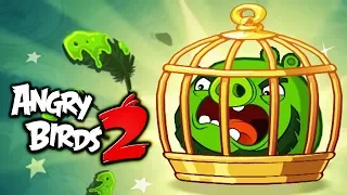 ЗЛОЙ СВИНОПТИЦ ЗАДЕРЖИВАЕТСЯ Мультяшная игра про ЗЛЫХ ПТИЧЕК Angry Birds 2