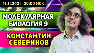 Константин Северинов. Молекулярная биология. АТФ - биологический доллар.