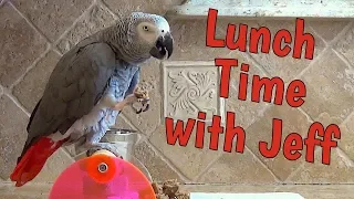 Einstein and Jeff Make Lunch Together