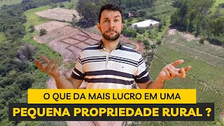 O que dá MAIS lucro em uma pequena propriedade rural?