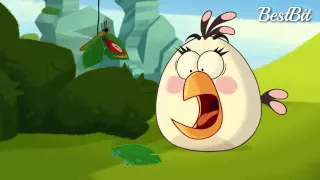 Angry birds toons the butterfly effect clip