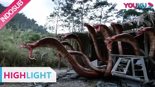 Highlight (Variation Hydra) Monster Hydra hidup kembali? | YOUKU [INDO SUB]