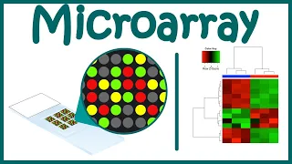 Microarray Technique || DNA Microarray || Gene expression analysis using microarray