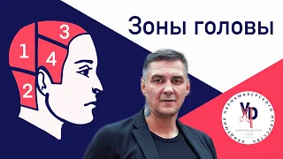 Зоны головы: за что они отвечают