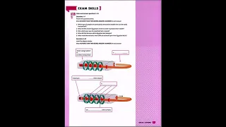 Mindset for Ielts 3   Unit 4 -  Track 30   Page 87