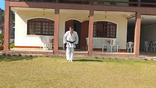 Heian Nidan - 2⁰ Kata da Faixa Amarela