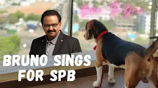 Bruno Sings For SPB | RIP - Return If Possible | RIP SPB | Bruno The Boss