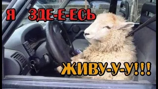 Вектор Движения №294 Никто Не Хотел Уступать! 🧯 🏴‍☠️⚠️ ч 2