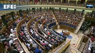 El Congreso deja caer la ley contra el proxenetismo del PSOE