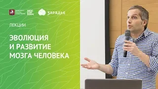 Сколтех в "Зарядье". Лекция: "Эволюция и развитие мозга человека"