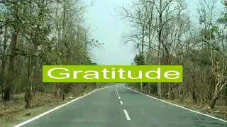 Gratitude by Creative Bubbles