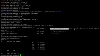 Установка Active Directory с отдельным DNS сервером (BIND)