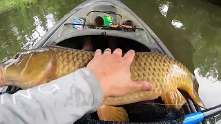 Kayak Carp Fishing