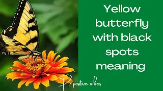 @PVPositiveVibes1111  yellow butterfly with black spots meanings 🦋