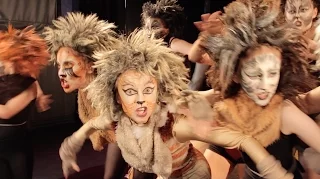 "Jellicle Cats" (Cats) COVER by Spirit Young Performers Company