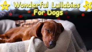Dog Music Sleep Music For Puppies Dachshund Pug Retriever ♫ Relax Your Dog ♥ Lullaby For Animals