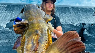 HOW BIG DO THE CATFISH GROW IN THE COLD WISCONSIN WATERS? OUR NORTHERNMOST NOODLING ADVENTURE YET!