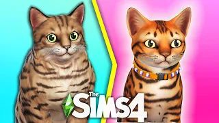 The Sims 4 НОВЫЕ ПИТОМЦЫ | ОТДЫХ НА ОСТРОВАХ