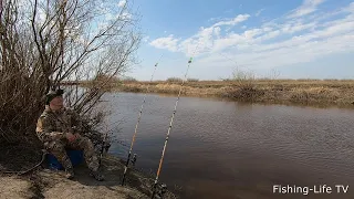 ПЕРВАЯ ДОЛГОЖДАННАЯ РЫБАЛКА НА ДОНКИ ПОСЛЕ ЗИМЫ... ПТИЧКИ ПОЮТ,СПИННИНГИ КЛЮЮТ,КРАСОТА)))