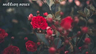 Million Roses (Russian ver + Korean ver + Japanese ver + Vietnamese ver)