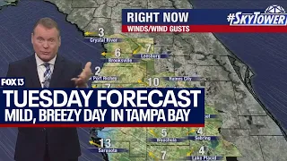 Tampa weather | mild, gusty day in store on March 26, 2024