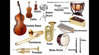 Question 1 - Instruments of the Orchestra Quiz