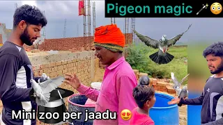 Kabotar ka khel 😍 ( Pigeon sitting on head 😳 )