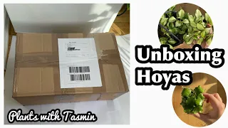 Unboxing Rare Hoyas | Wishlist Hoya Unboxing | Unboxing Plant Mail | Hoya Haul 2024