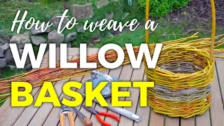 How to Weave a Willow Basket -- part 2