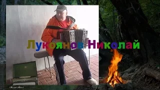 Цыганочка с выходом! ☀️ Исполняет ВИРТУОЗ РОССИИ Николай Лукоянов ╰❥Gypsy to accordion Играй гармонь