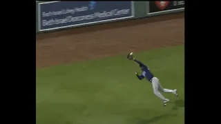Randy Arozarena MAKES CATCH OF THE YEAR so far!