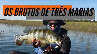 OS BRUTOS DE TRÊS MARIAS - Pescaria de Tucunarés com caiaque