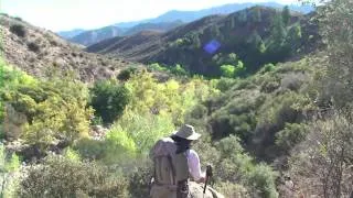 Sespe Wilderness Backpacking