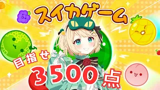 【スイカゲーム】今日こそ3500点いけるかな！？頑張ってみよう🍉【夜祭まかまか/新人Vtuber】