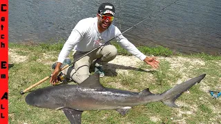 6 Foot BULL SHARK in POND!