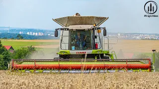 Wheat Harvest 2021 🌾 / Claas Lexion 600 + Vario 900, Fendt 826, Case puma 155 🚜 / 🇨🇿 Farma Herot /