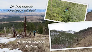 Off-trail Mountain Adventure on Mill Point in the Bitterroot Mountains - Out Here Montana March 2024