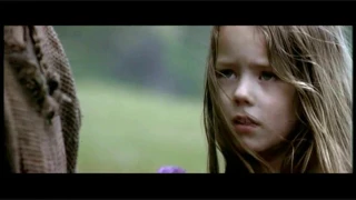 Braveheart--The history of the flower