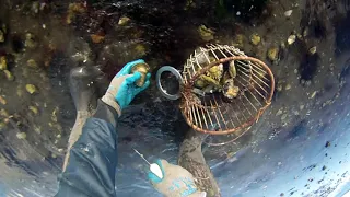 Wellfleet, Oyster Capital of the World -- A Brief History