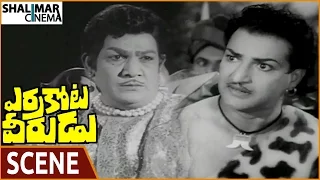 Errakota Veerudu Movie || Maharaja Gives Punishment To NTR || NTR, Savitri || Shalimarcinema