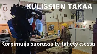 Kulissien takaa: Korpimuija suorassa tv-lähetyksessä