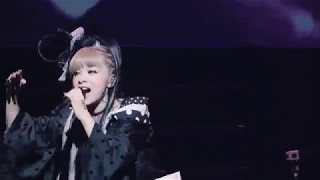 GARNiDELiA-極楽浄土 (LIVE) 480P