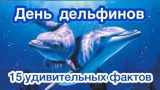 23 июля - Всемирный день китов и дельфинов. 15 интересных фактов о дельфинах. Дельфины удивительные