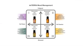 Webinar -- Essential Oils for Mood Management and Emotional Wellbeing