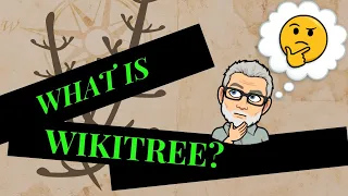 What is WikiTree?