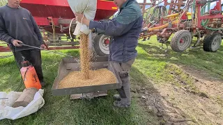 Інокуляція сої прямо в полі!