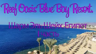 Reef Oasis Blue Bay Resort & Spa Шарм Эль Шейх Египет Sharm El Sheikh Egypt