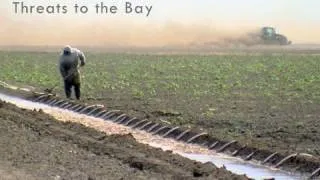 Saving the Bay - Threats to San Francisco Bay: Climate Change and Pollution